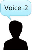 voice2