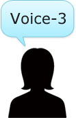 voice3