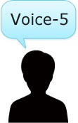 voice5